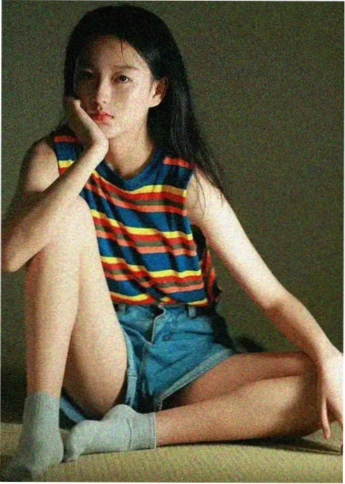 纸上动物园动漫在线观看